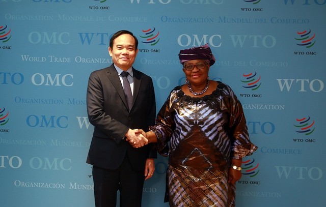 At the meeting between Deputy PM Tran Luu Quang and WTO Director General Ngozi Okonjo-Iweala. Photo: VNA At the meeting between Deputy PM Tran Luu Quang and WTO Director General Ngozi Okonjo-Iweala. Photo: VNA