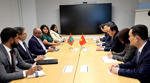 At the meeting between Deputy PM Tran Luu Quang and FM of the Maldives Abdulla Shahid. Photo: VNA At the meeting between Deputy PM Tran Luu Quang and FM of the Maldives Abdulla Shahid. Photo: VNA