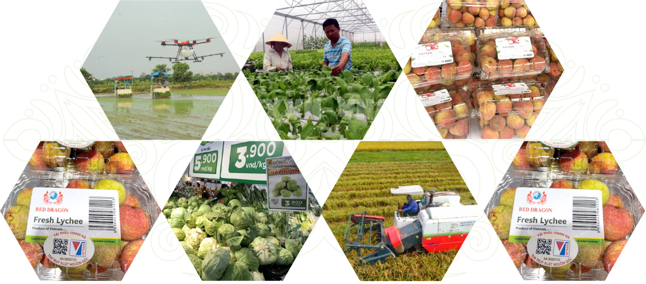 Bí thư Tỉnh uỷ Trần Đức Thắng: Hải Dương có tiền đề vững chắc để bứt phá trong tương lai gần Bí thư Tỉnh uỷ Trần Đức Thắng: Hải Dương có tiền đề vững chắc để bứt phá trong tương lai gần
