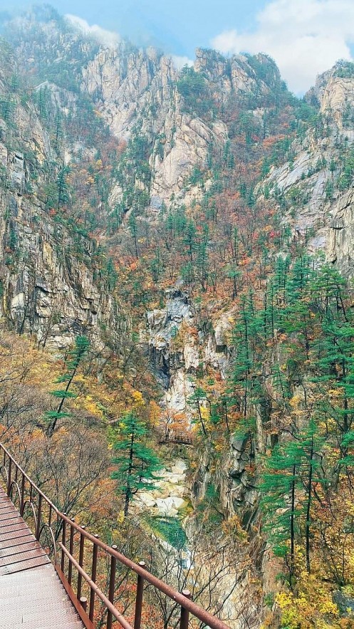 The Journey to Conquer Nature of a Vietnamese Man in Korea Vietnamese Man Conquers Korean Mountains