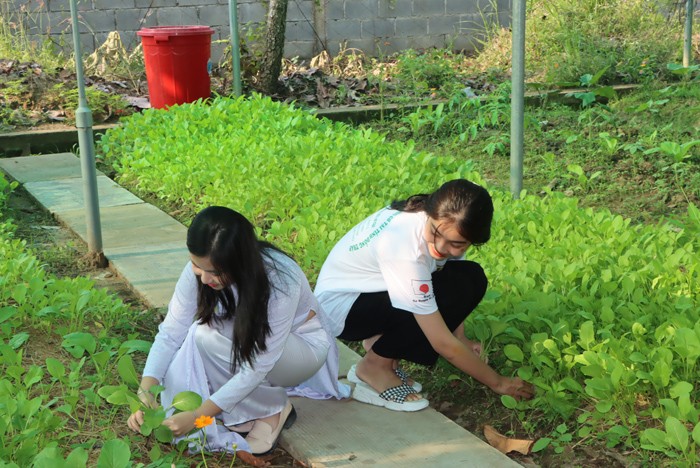 Đồng Tháp: 20 trường học hưởng lợi từ dự án “Phát triển nông nghiệp hữu cơ” Đồng Tháp: 20 trường học hưởng lợi từ dự án “Phát triển nông nghiệp hữu cơ”