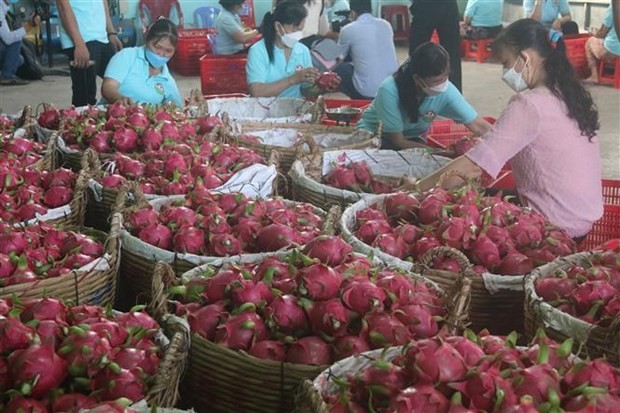 Việt Nam và địa phương Ấn Độ khám phá cơ hội hợp tác | Kinh tế | Vietnam+ (VietnamPlus) Việt Nam và địa phương Ấn Độ khám phá cơ hội hợp tác | Kinh tế | Vietnam+ (VietnamPlus)