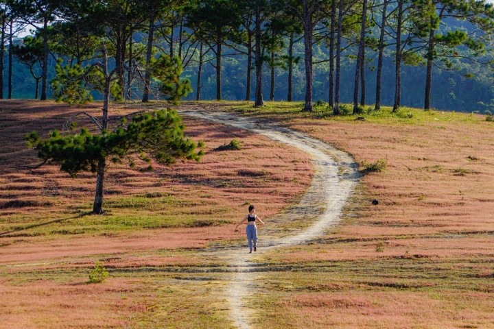 Photo: Phung Quang Huy Photo: Phung Quang Huy