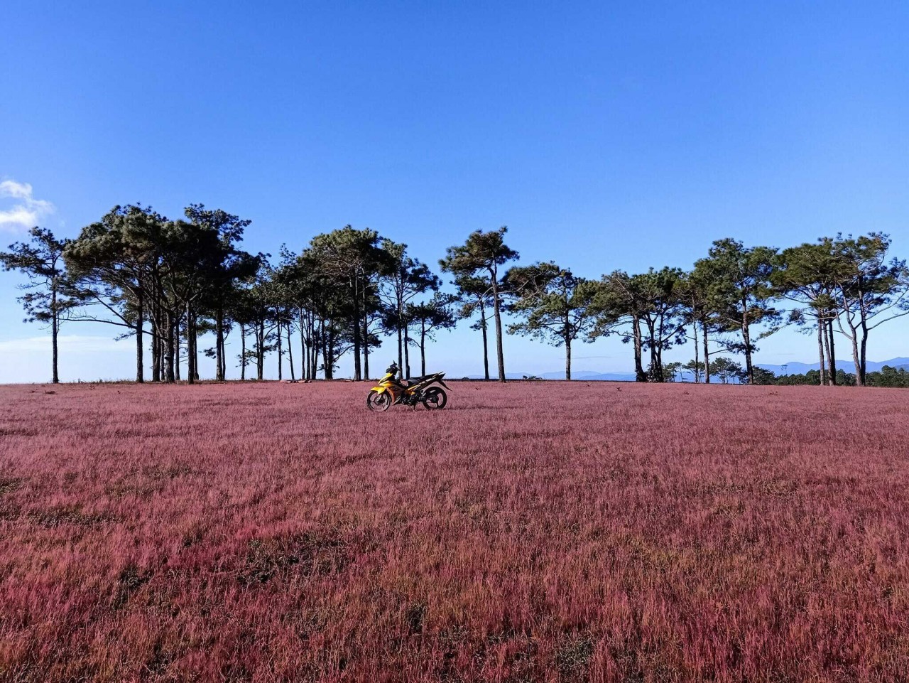 Photo: Huynh Hoang Long Photo: Huynh Hoang Long