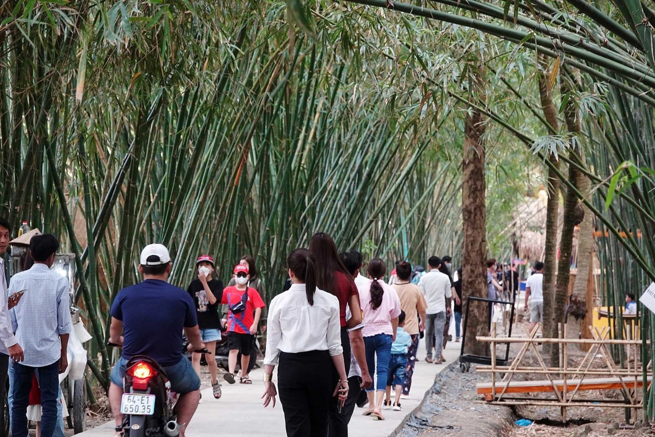 This has become one of the most famous tourist destinations in Hau Giang Province. Photo: Lao Dong This has become one of the most famous tourist destinations in Hau Giang Province. Photo: Lao Dong