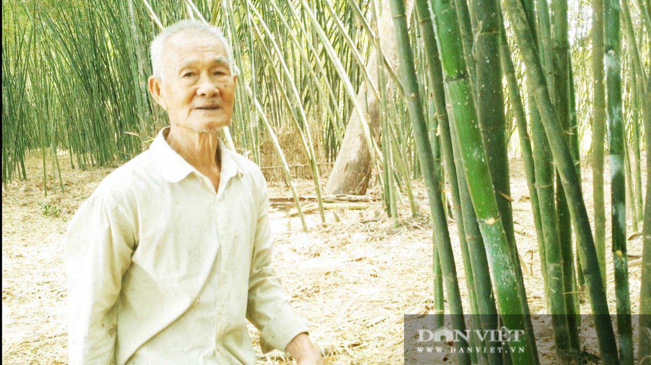 Dang Van Sang, the owner of the bamboo garden. Photo: Dan Viet Dang Van Sang, the owner of the bamboo garden. Photo: Dan Viet