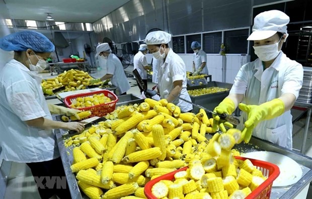 EU, US Companies Keen to Invest in Vietnam EU, US Companies Keen to Invest in Vietnam