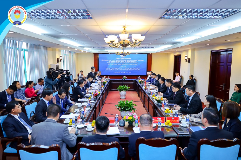 Việt Nam - Quảng Tây (Trung Quốc) thúc đẩy giao lưu hợp tác xã, doanh nghiệp Việt Nam - Quảng Tây (Trung Quốc) thúc đẩy giao lưu hợp tác xã, doanh nghiệp