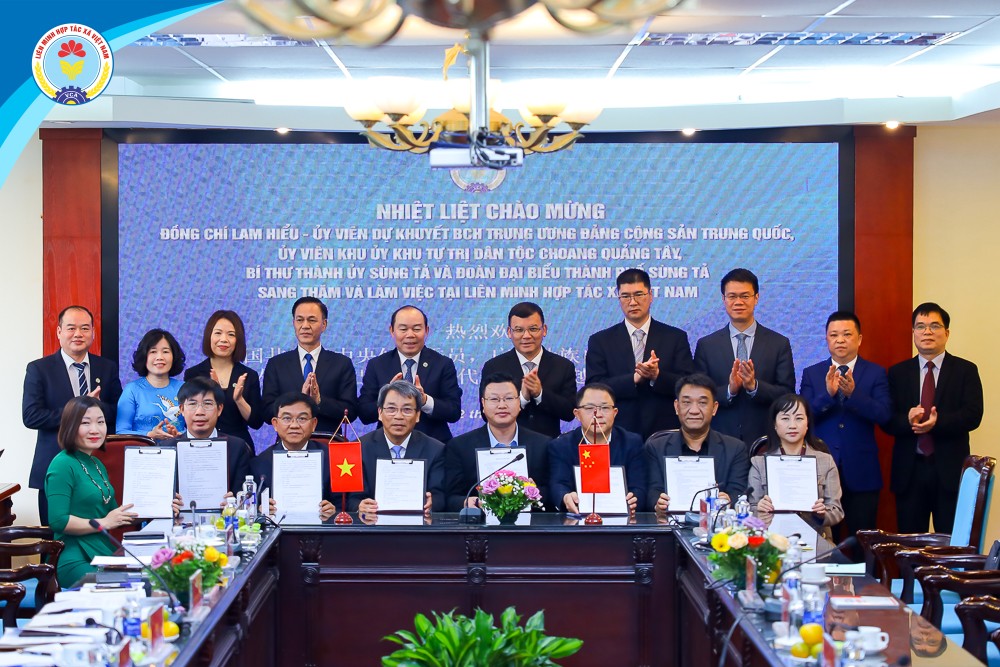Việt Nam - Quảng Tây (Trung Quốc) thúc đẩy giao lưu hợp tác xã, doanh nghiệp Việt Nam - Quảng Tây (Trung Quốc) thúc đẩy giao lưu hợp tác xã, doanh nghiệp