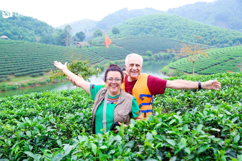 Du khách Pháp hào hứng khám phá vẻ đẹp Đảo chè ở Nghệ An Du khách Pháp hào hứng khám phá vẻ đẹp Đảo chè ở Nghệ An