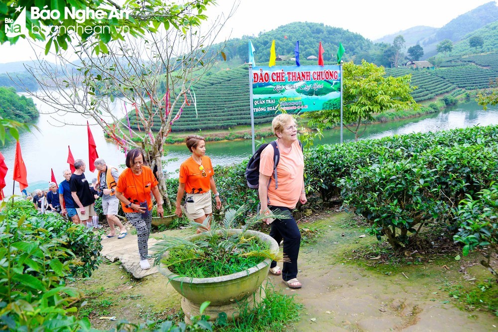 Du khách Pháp hào hứng khám phá vẻ đẹp Đảo chè ở Nghệ An Du khách Pháp hào hứng khám phá vẻ đẹp Đảo chè ở Nghệ An