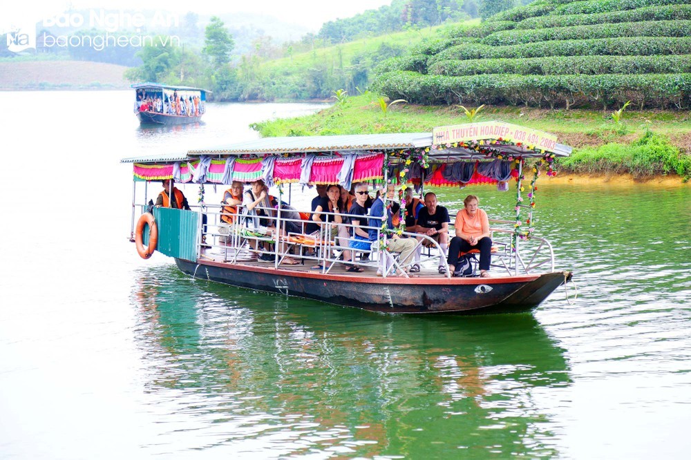 Du khách Pháp hào hứng khám phá vẻ đẹp Đảo chè ở Nghệ An Du khách Pháp hào hứng khám phá vẻ đẹp Đảo chè ở Nghệ An