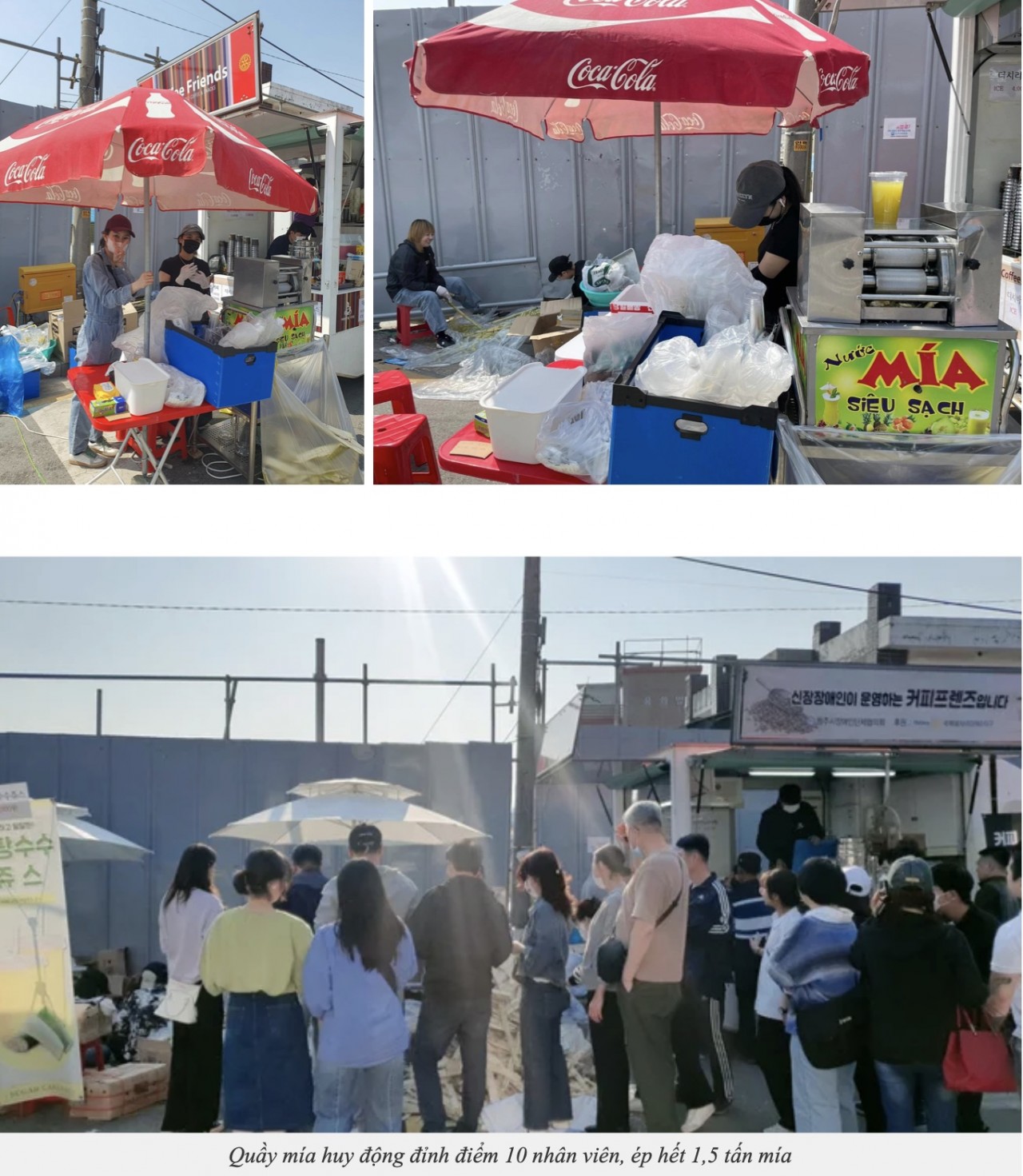 South Koreans Introduced to Vietnam's Sugarcane Juice South Koreans Introduced to Vietnam's Sugarcane Juice