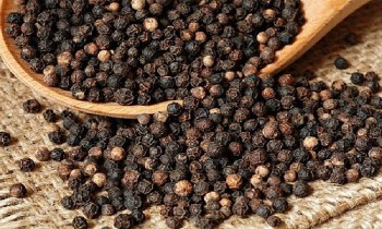 Tiêu Việt Nam xuất sang Trung Quốc tăng đột biến sau mở cửa