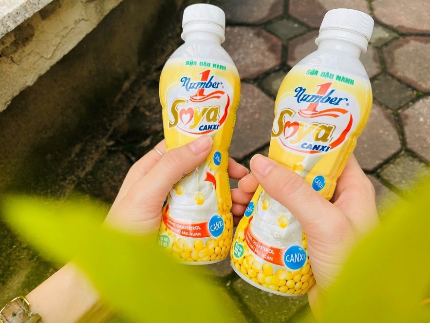 Vietnamese Youth Pursue Healthy Lifestyle Vietnamese Youth Pursue Healthy Lifestyle