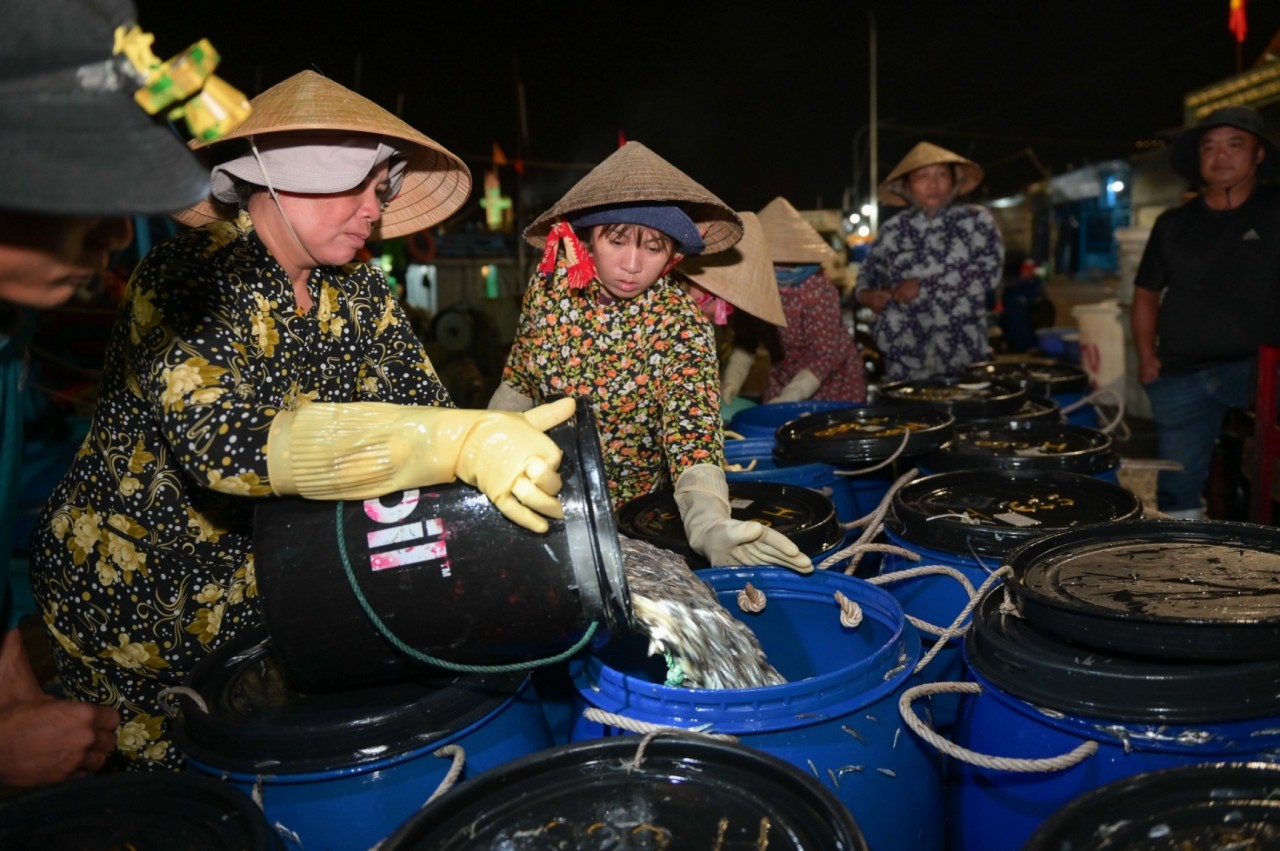 Hoạt động mua bán tại bến cá dân sinh Vĩnh Trường (tổ dân phố Trường Đông 1, phường Vĩnh Trường, TP Nha Trang, tỉnh Khánh Hòa). (Ảnh: baokhanhhoa.vn) Hoạt động mua bán tại bến cá dân sinh Vĩnh Trường (tổ dân phố Trường Đông 1, phường Vĩnh Trường, TP Nha Trang, tỉnh Khánh Hòa). (Ảnh: baokhanhhoa.vn)