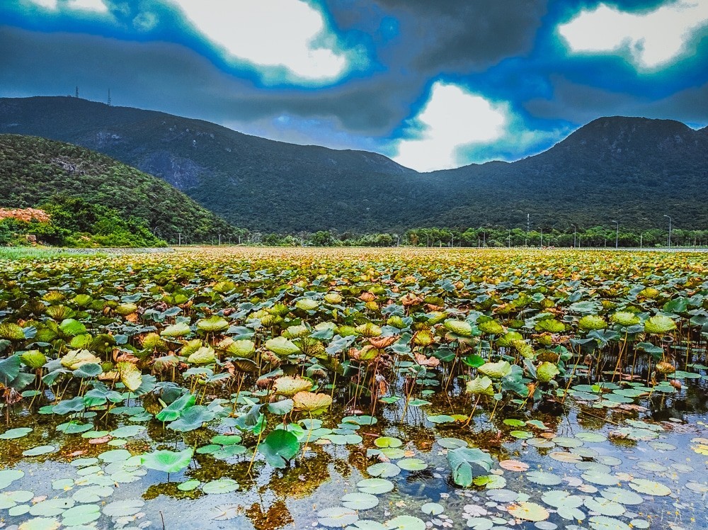 Photo: This Is Luxury Travel Photo: This Is Luxury Travel
