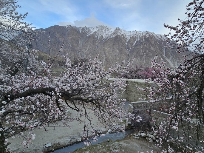 Những cô gái Việt bên rặng núi tuyết Pakistan Những cô gái Việt bên rặng núi tuyết Pakistan