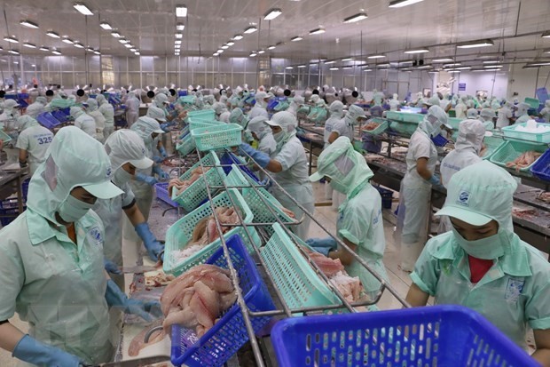 Đại sứ Iain Frew: Quan hệ Việt-Anh đang ở thời điểm rất sôi động | Chính trị | Vietnam+ (VietnamPlus)