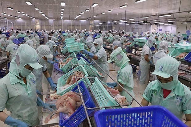 Vietnam, UK Boast Great Potential for Education, Science Cooperation: Professor Vietnam, UK Boast Great Potential for Education, Science Cooperation: Professor