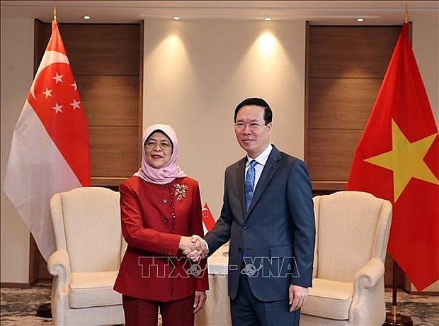 State President Vo Van Thuong (R) and Singaporean President Halimah Yacob (Photo: VNA) State President Vo Van Thuong (R) and Singaporean President Halimah Yacob (Photo: VNA)