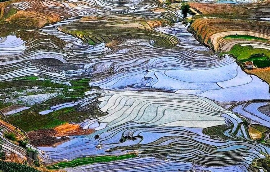 Photo: Do Manh Hung/ Vietnam+ Photo: Do Manh Hung/ Vietnam+