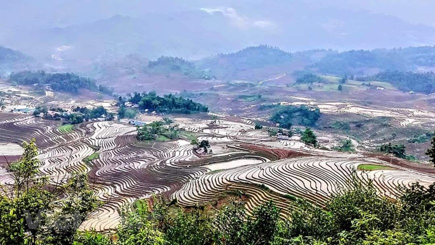 Photo: Do Manh Hung/ Vietnam+ Photo: Do Manh Hung/ Vietnam+