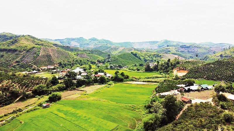 Đắk Nông tập trung giảm nghèo vùng dân tộc thiểu số Đắk Nông tập trung giảm nghèo vùng dân tộc thiểu số