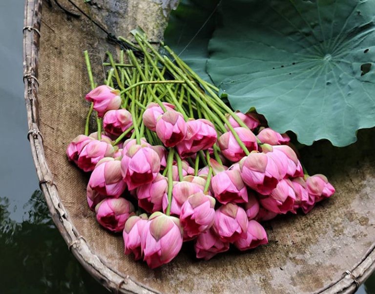 Chủ tịch nước phê chuẩn Hiệp định tương trợ tư pháp trong lĩnh vực dân sự giữa Việt Nam và Thái Lan Chủ tịch nước phê chuẩn Hiệp định tương trợ tư pháp trong lĩnh vực dân sự giữa Việt Nam và Thái Lan