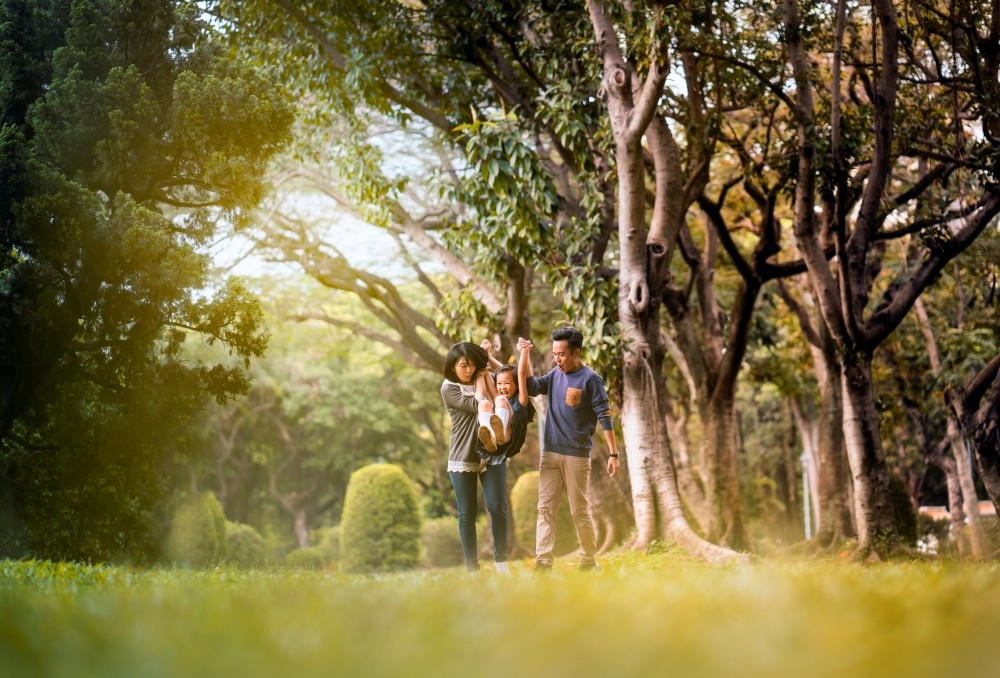 Người dân Thủ đô sẵn sàng chi tiền để tăng diện tích cây xanh. Người dân Thủ đô sẵn sàng chi tiền để tăng diện tích cây xanh.