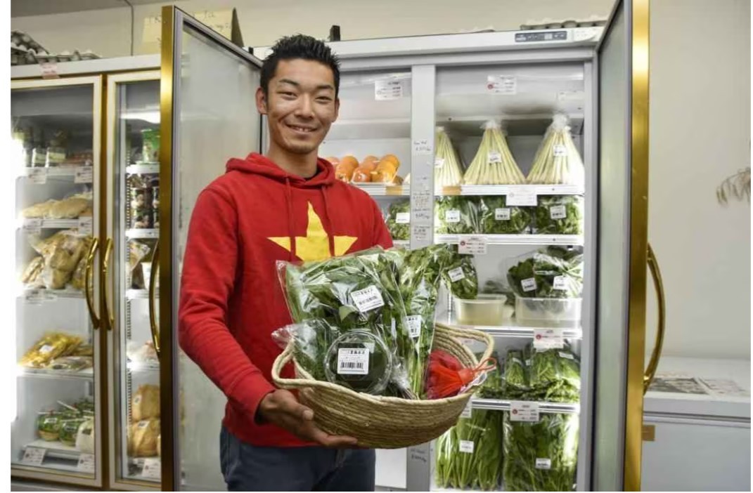 A Japanese to Grow Clean Vegetables for Vietnamese Trainees A Japanese to Grow Clean Vegetables for Vietnamese Trainees
