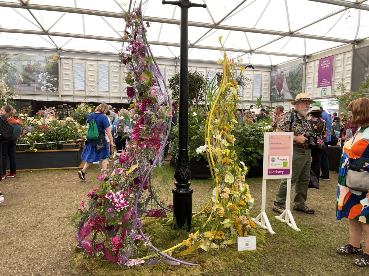 Việt kiều Serbia đoạt giải tại Chelsea Flower Show 2023