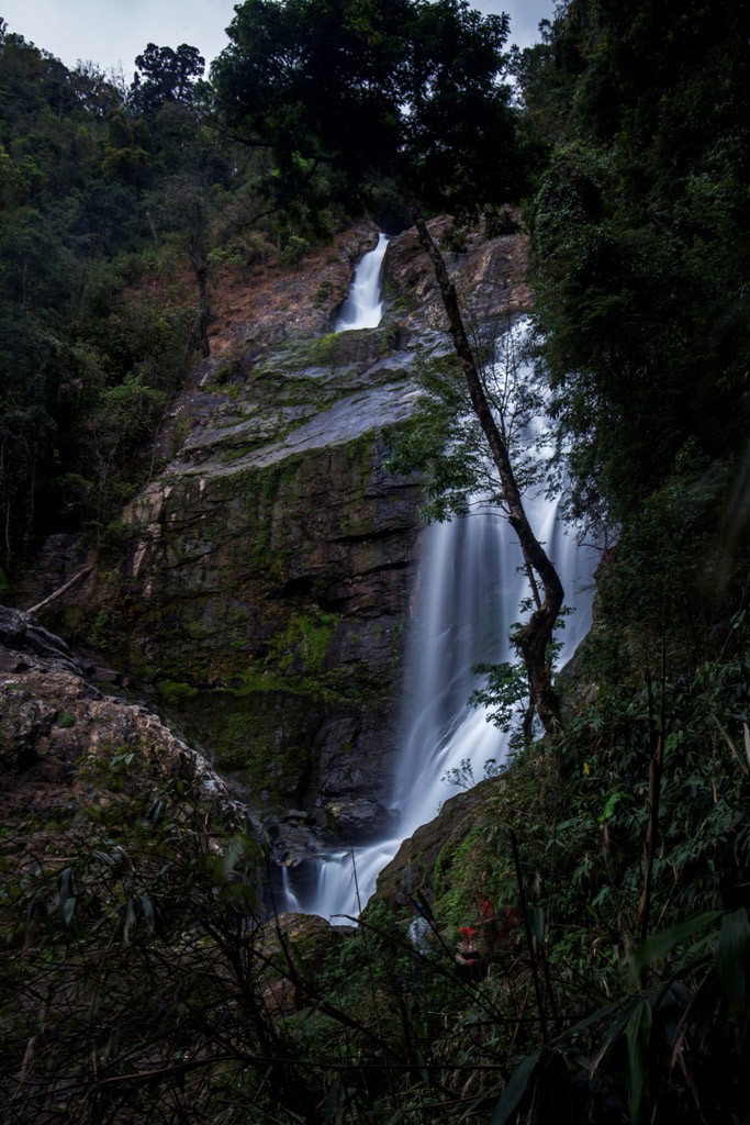 Photo: Huy Dang Photo: Huy Dang