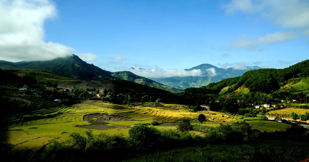 Morning sun on Long Tum field. Photo: Huy Dang Morning sun on Long Tum field. Photo: Huy Dang