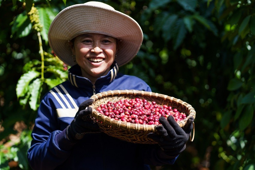 Các nguồn vốn FDI yêu cầu nghiêm về phát triển bền vững buộc doanh nghiệp phải tuân thủ Các nguồn vốn FDI yêu cầu nghiêm về phát triển bền vững buộc doanh nghiệp phải tuân thủ