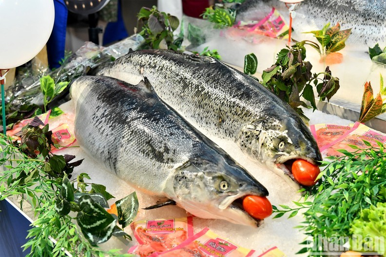 First-ever Norwegian Seafood Day Brings True Taste of Norway to Hanoi Customers First-ever Norwegian Seafood Day Brings True Taste of Norway to Hanoi Customers