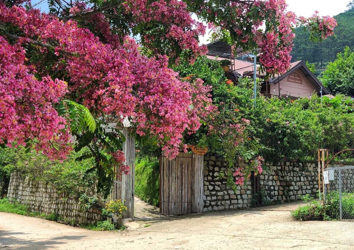 Photo: Sam Sam Photo: Sam Sam