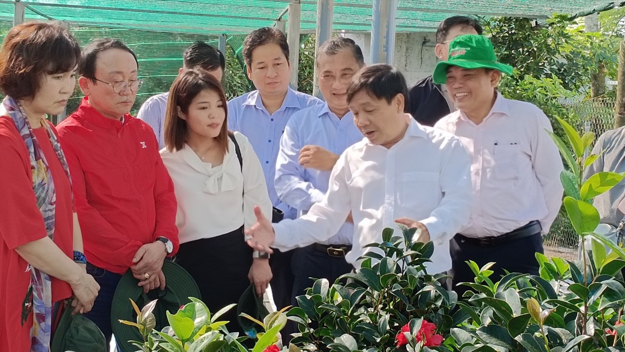 Huyện Yeoncheon (Hàn Quốc) đánh giá cao nguồn lao động thời vụ từ Đồng Tháp Huyện Yeoncheon (Hàn Quốc) đánh giá cao nguồn lao động thời vụ từ Đồng Tháp
