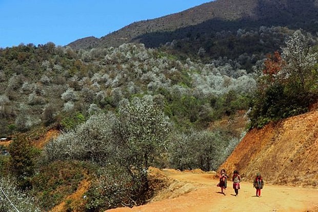 Nam Nghiep hamlet in Son La (Photo: VNA) Nam Nghiep hamlet in Son La (Photo: VNA)