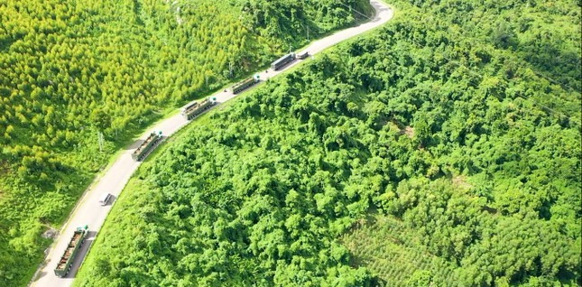 THILOGI mang đến nhiều giải pháp vận tải nội địa tối ưu cho doanh nghiệp THILOGI mang đến nhiều giải pháp vận tải nội địa tối ưu cho doanh nghiệp