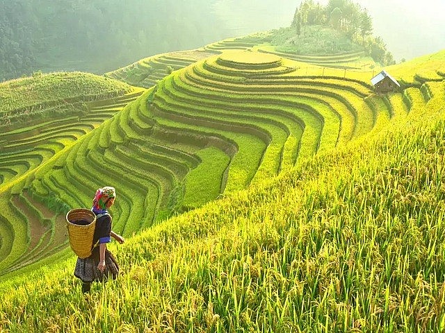 Sapa - An Iconic Destination for Travellers: The Times of India Sapa - An Iconic Destination for Travellers: The Times of India