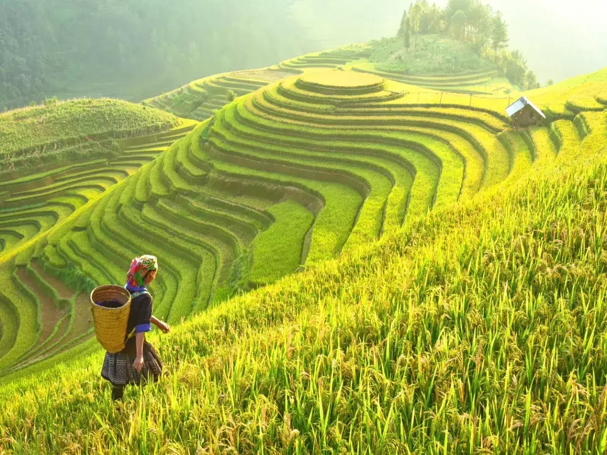 Báo Ấn Độ nói về "thiên đường hạ giới" ở Việt Nam: Hút hồn du khách bởi cảnh đẹp cả 4 mùa Báo Ấn Độ nói về "thiên đường hạ giới" ở Việt Nam: Hút hồn du khách bởi cảnh đẹp cả 4 mùa
