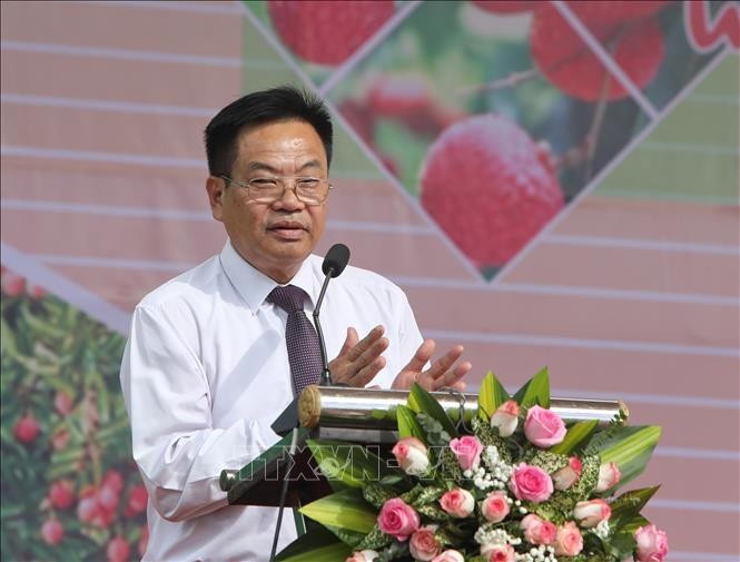 Tinh hoa trái cây Việt - đặc sản Việt Nam đạt kỷ lục châu Á Tinh hoa trái cây Việt - đặc sản Việt Nam đạt kỷ lục châu Á