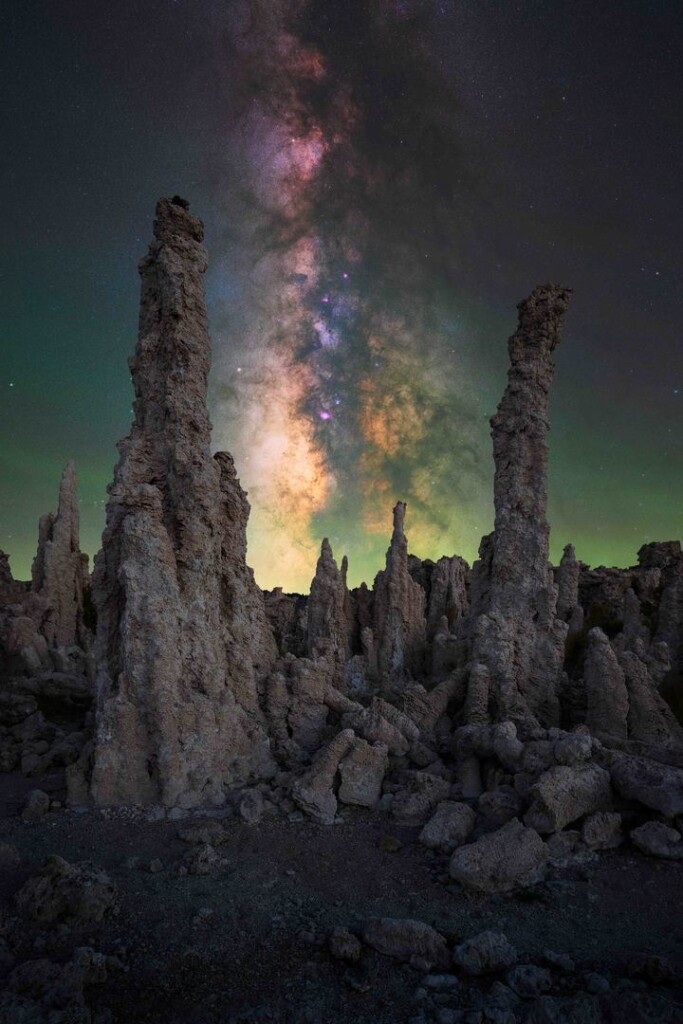 “Alien Forest”. Photo: Marcin Zając “Alien Forest”. Photo: Marcin Zając
