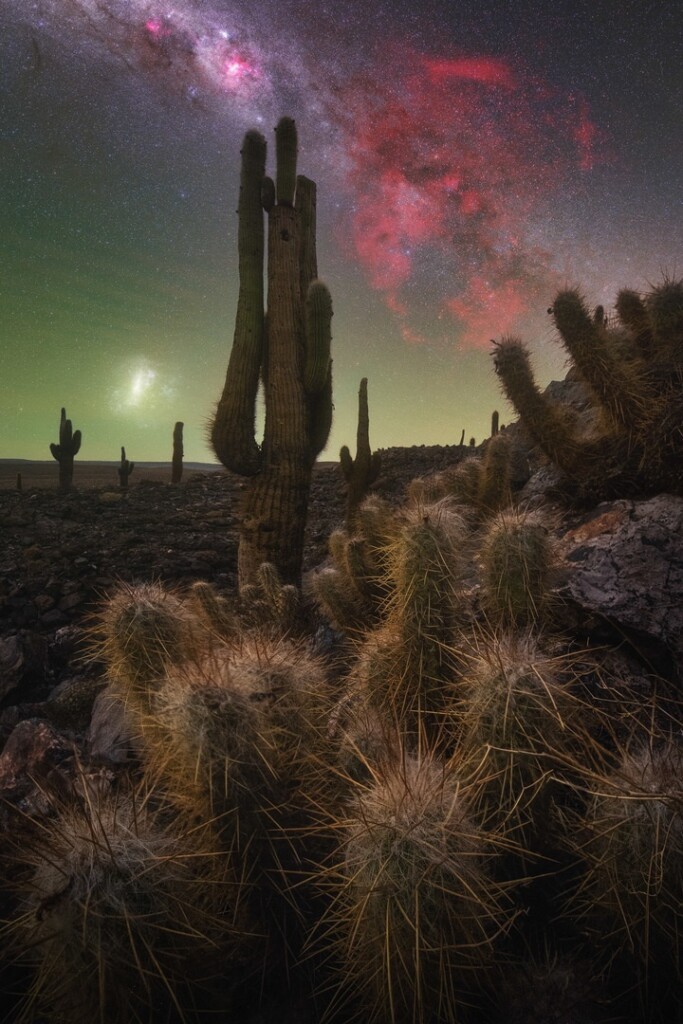“The Cactus Valley”. Photo: Pablo Ruiz García “The Cactus Valley”. Photo: Pablo Ruiz García