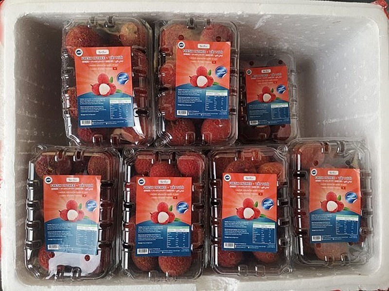 Vietnam's seedless lychees are now available in the UK. Vietnam's seedless lychees are now available in the UK.