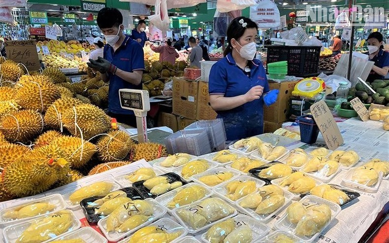 Xuất khẩu sầu riêng sang Trung Quốc tăng kỷ lục Xuất khẩu sầu riêng sang Trung Quốc tăng kỷ lục
