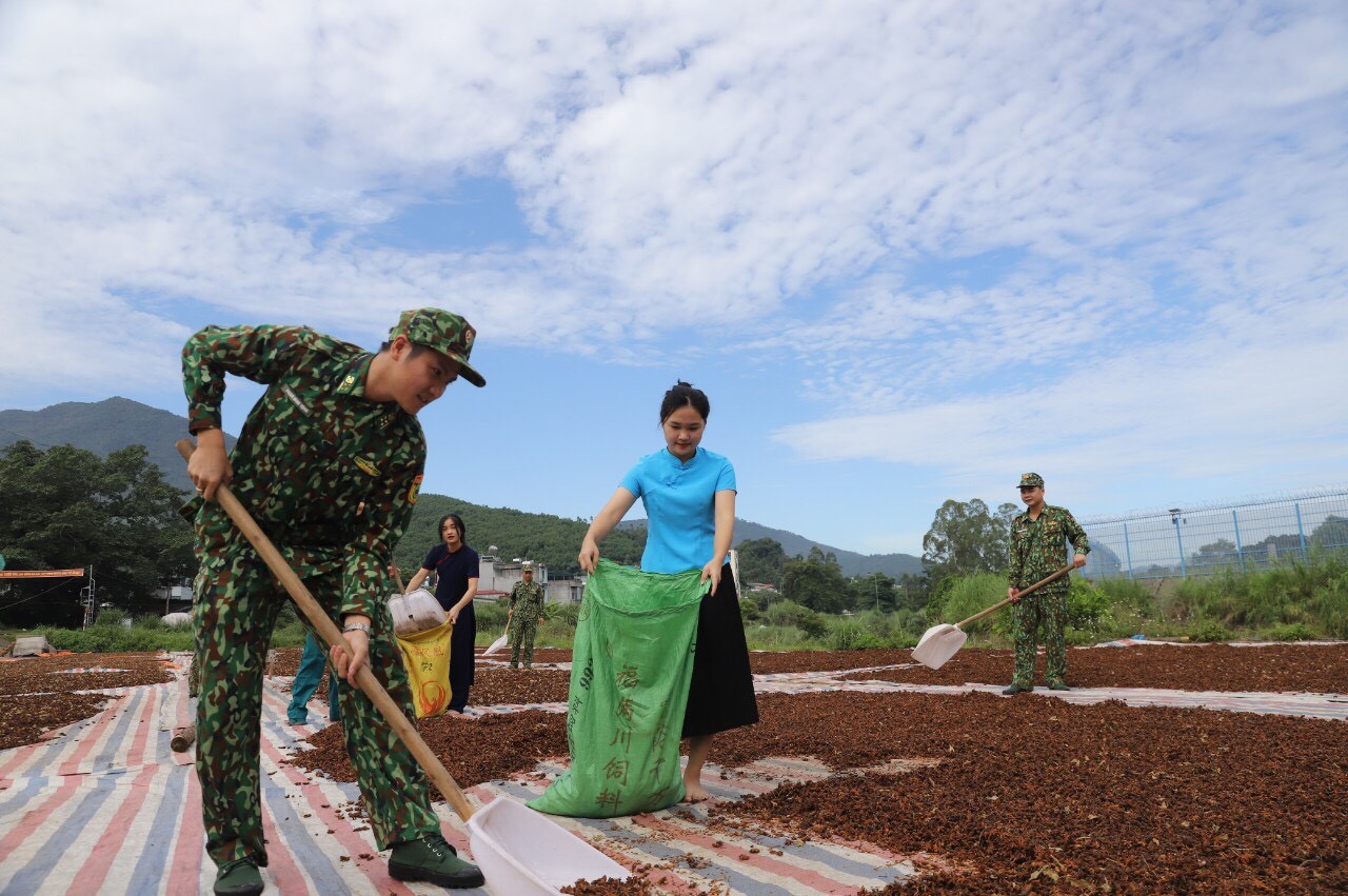 Bình Liêu, Quảng Ninh: Dân giàu, đường biên vững mạnh Bình Liêu, Quảng Ninh: Dân giàu, đường biên vững mạnh