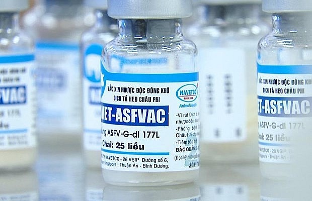 NAVET-ASFVAC is manufactured by the Navetco National Veterinary Joint Stock Company (NAVETCO). (Photo: VNA) NAVET-ASFVAC is manufactured by the Navetco National Veterinary Joint Stock Company (NAVETCO). (Photo: VNA)