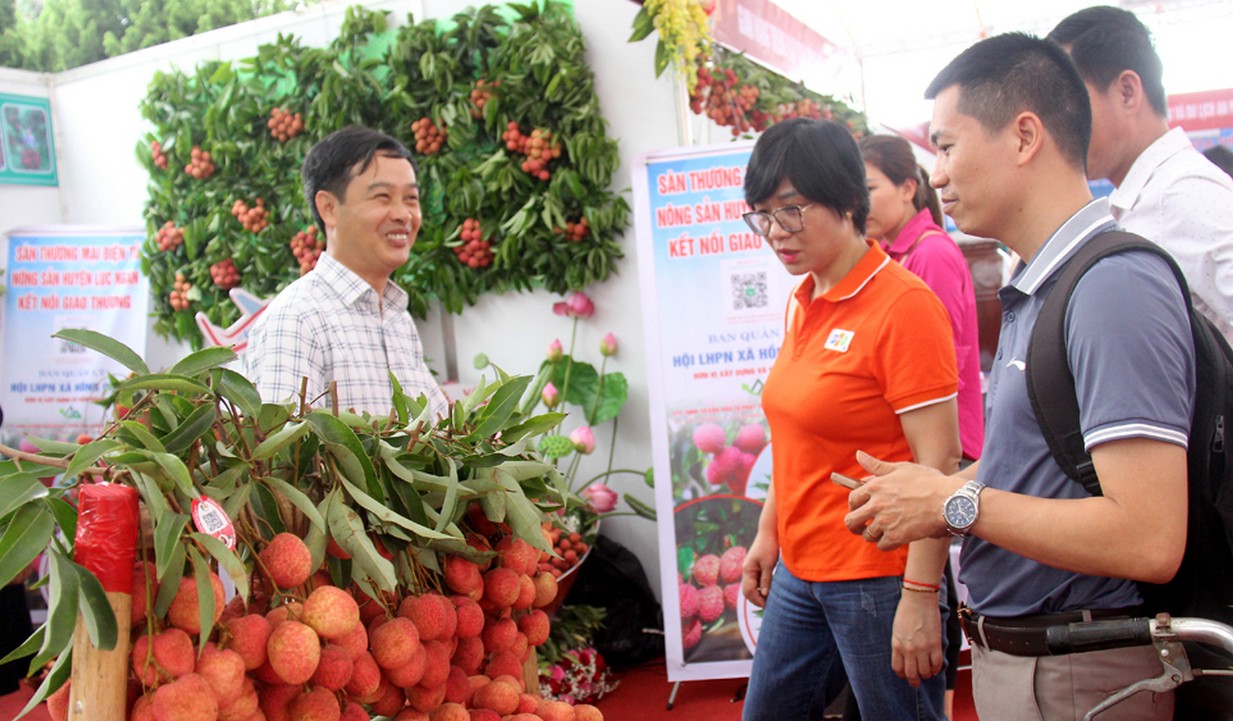 Đại diện Sendo đến Lục Ngạn để tìm hiểu, kết nối đưa vải thiều lên sàn TMĐT tại tại Hội nghị xúc tiến tiêu thụ vải thiều năm 2023. Đại diện Sendo đến Lục Ngạn để tìm hiểu, kết nối đưa vải thiều lên sàn TMĐT tại tại Hội nghị xúc tiến tiêu thụ vải thiều năm 2023.